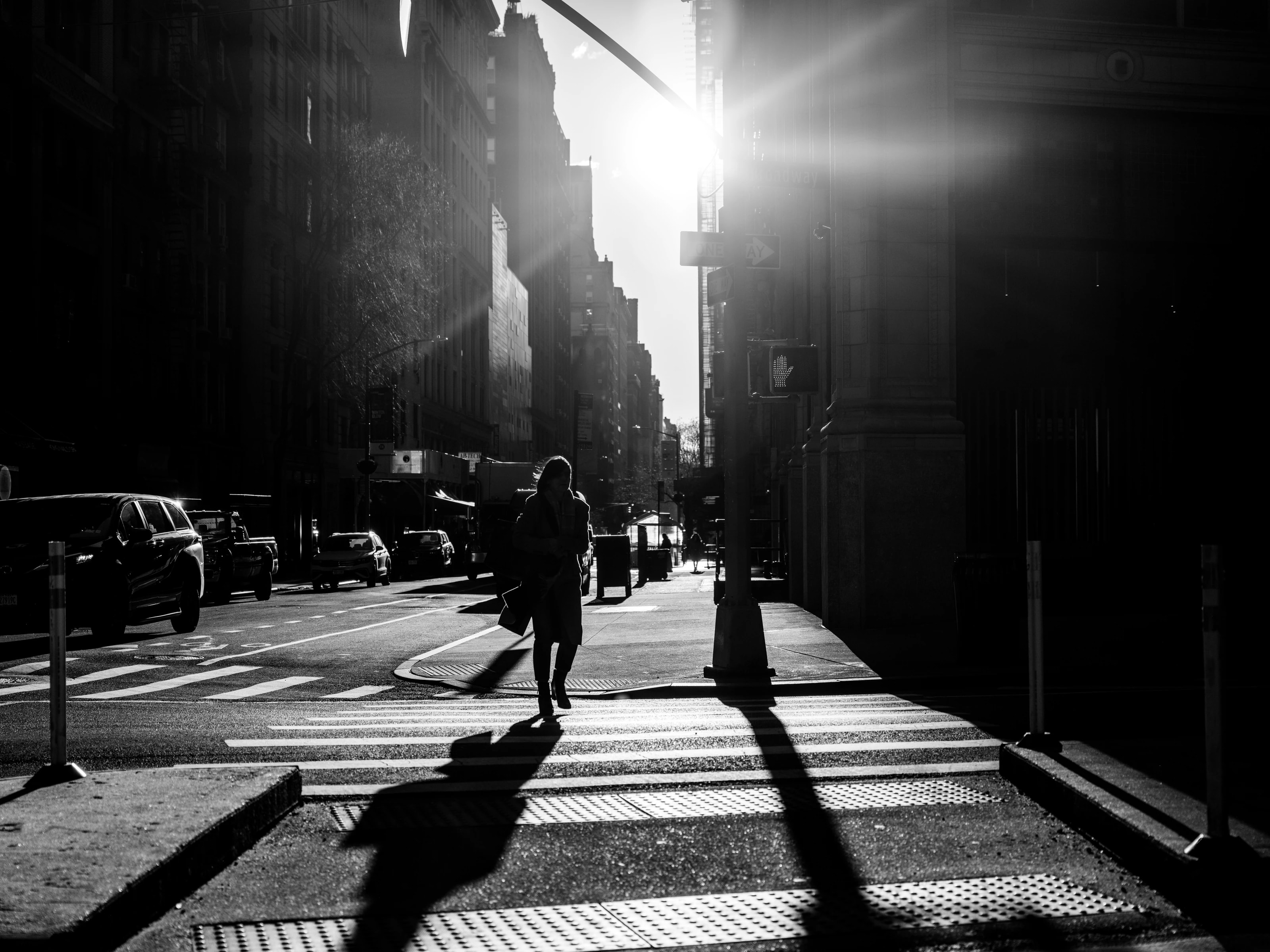 Light and silhouette, New York